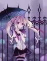 紫陽花/コト