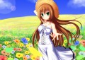 夏っぽいの/にゃるみ