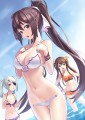 ほうき/Ｋ＋
