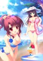 SUMMER Diver/みけおう