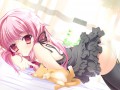 【冬コミ紙袋】由乃とねこ/未来日記/すいひ＠2日目･西れ-55b