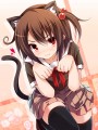 荒ぶるおねだりのポーズ/ちり
