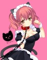かるたん/むちゃ