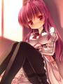 莉っぴー/ゆく