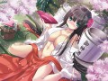 巫女祭り2012(大遅刻)/のりたま