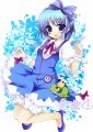 ✽チルノ✽/草月　野々乃