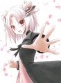 桜花さん/ぶらん