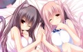 シアミア誕生日/Syroh