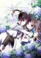 【百合】紫陽花/仁科