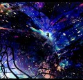 星が生まれた日/ハラダミユキ