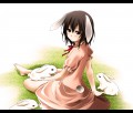 、、、、、なによ/koshi-kun＠コミケ参加