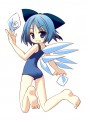 スク水チルノ/都桜 和