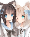 けもけもー！/飴うさこ