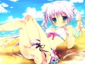 裸足の季節/しらたま◆3日目東キ-38b
