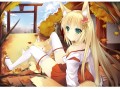 一葉落ちて天下の秋を知る/兔姬