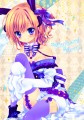みみけ新刊表紙/紺野賢護