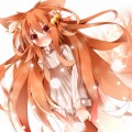 たてせたっぽいの/橙狼