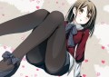 ストッキング/茶みらい