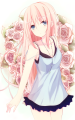 お花/いつものこ