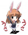 うさおりん/ミスター