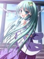明けましておめでとうございます♪/はとむら