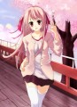 春だね！