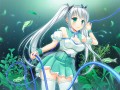 ミクロラスボラ・ナナ