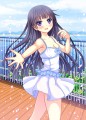 白猫とデート！