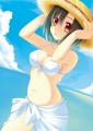 最近太陽の自己主張が激しい