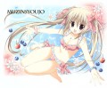 Ｃ84　紙袋