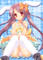 新刊表紙うさみみっ子