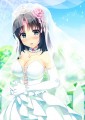 お借りしました！