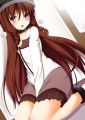 七菜