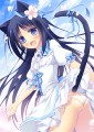 ねこみみっことばににこにー