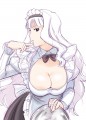 自分国メイド法