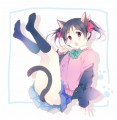 ぬこにー