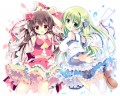 あかみどり