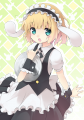 シャロ