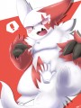 ザングース