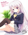 サノバウィッチ　発売記念お絵描き