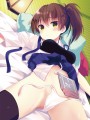 コミ１☆９新刊表紙絵
