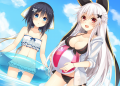 夏コミタペストリー