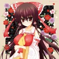 たまには普通の霊夢さん