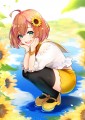 太陽の花