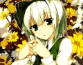 みょん/さざなみみぉ