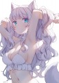白猫