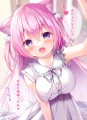 帰ったらなでなでしてくれる飼い猫