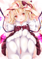 フランちゃんの