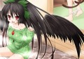 例大祭本の表紙用カットかもしれない/赤穂老師