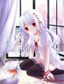 金魚と　　　。/けいじとJ(´ｰ`)し